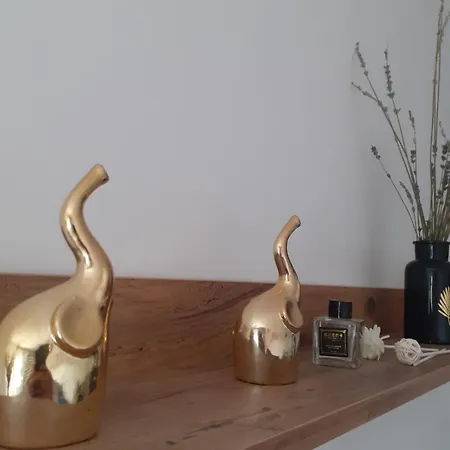 Apartman Andjela *